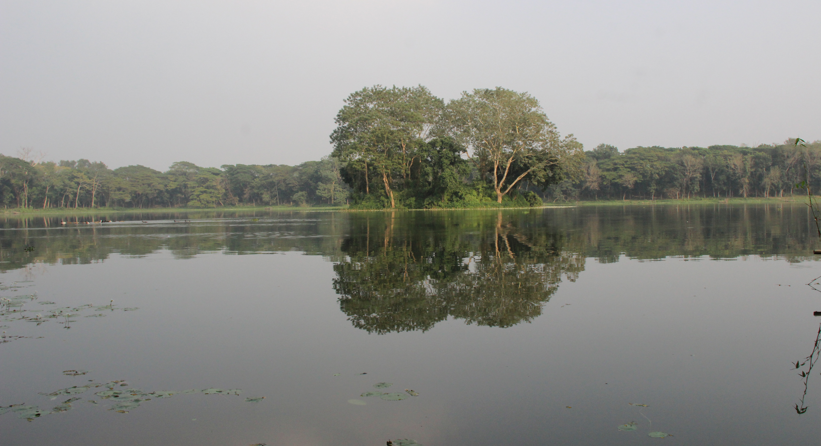 নয়নাভিরাম দূর্গাসাগর দীঘি ।। ছবি : রবীন ভাবুক