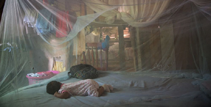 Photo 5 Mosquito Net